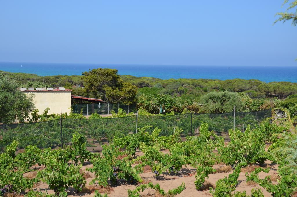 Residence Costa Del Turchese Badesi Esterno foto